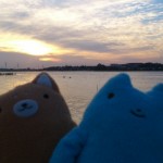 手賀沼にしずむ夕日