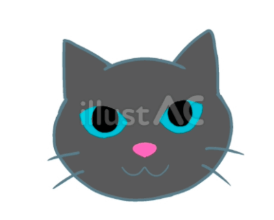 おすまし顔の黒猫 仲良しふもさん一家
